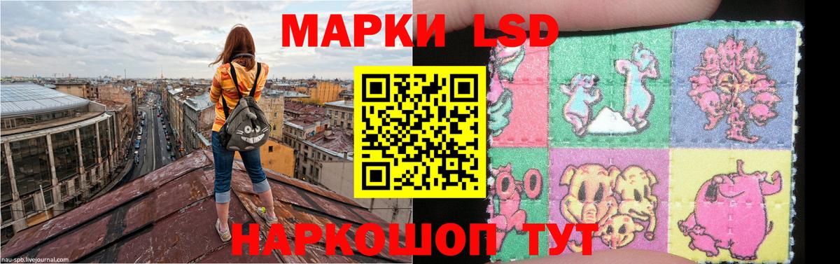 omg вход  ЛСД экстази  Вход с VPN  ЛСД экстази ecstasy  Кинешма 
