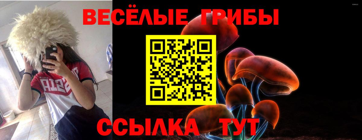 Кинешма  Псилоцибиновые грибы Magic Shrooms  Вход с VPN 